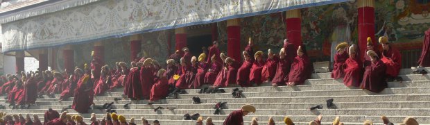 BEZET TIBET OMGEVING XIAHE 2008:
P1010878c