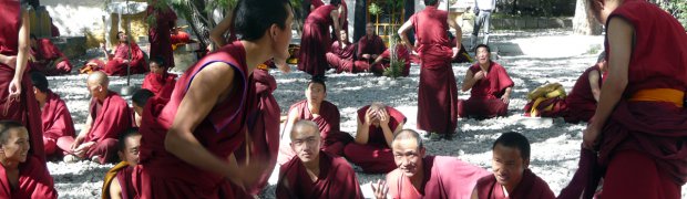 TEN DAYS IN TIBET:
P1040232