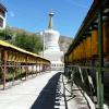 View the image: P1040313
