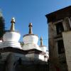 View the image: P1040498