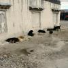View the image: P1040689